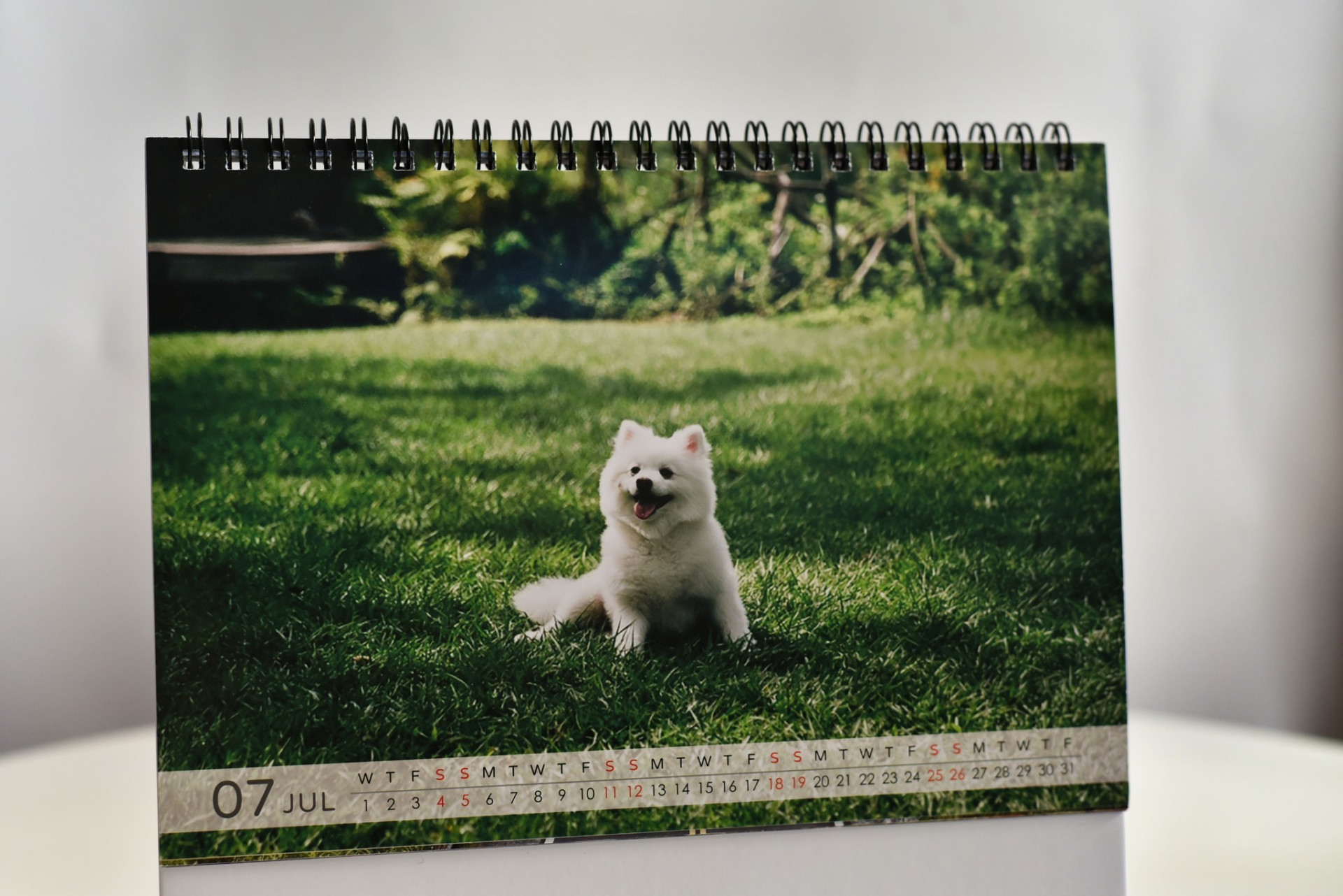 富士軟片醫療產品股份有限公司｜2026 年度企業月曆